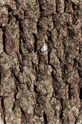 Similar image 1414683