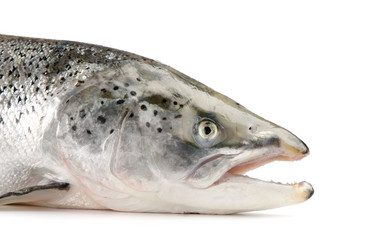 Similar image 1414732