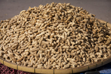 Similar image 1414774