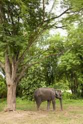 Similar image 1414779