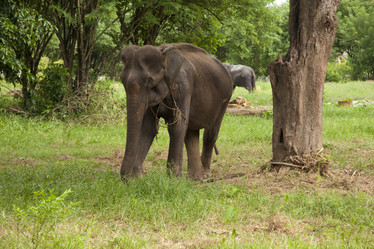 Similar image 1414780