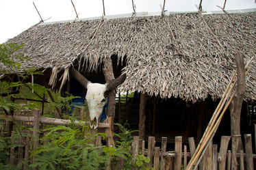 Similar image 1414783