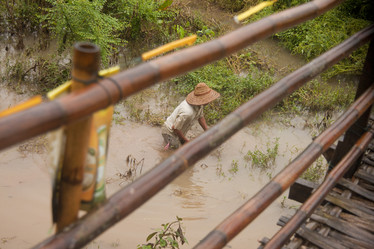 Similar image 1414785