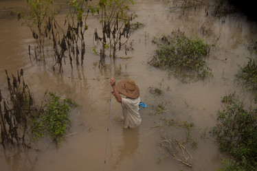 Similar image 1414788