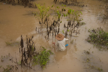 Similar image 1414790