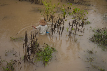 Similar image 1414791