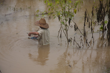 Similar image 1414792