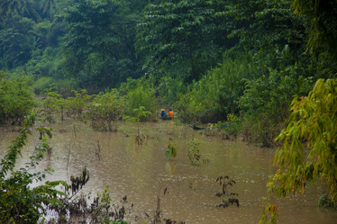 Similar image 1414793