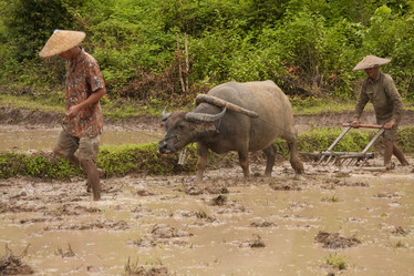 Similar image 1414816