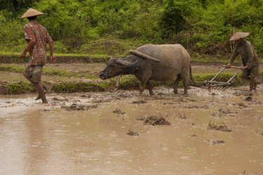 Similar image 1414817