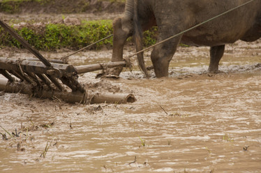 Similar image 1414818