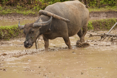 Similar image 1414819