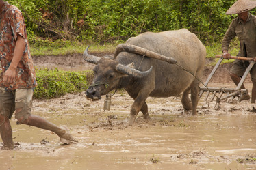 Similar image 1414820