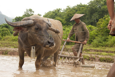 Similar image 1414821