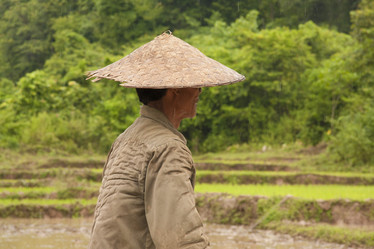 Similar image 1414822