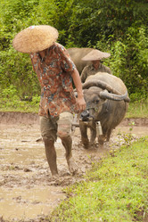 Similar image 1414823