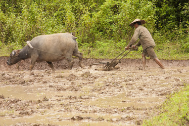 Similar image 1414825