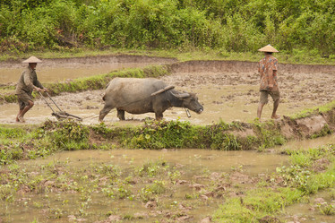 Similar image 1414833