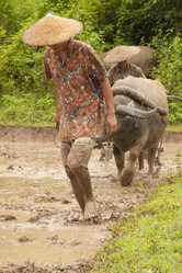 Similar image 1414834