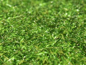 Similar image 1414854