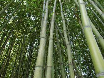 Similar image 1414926