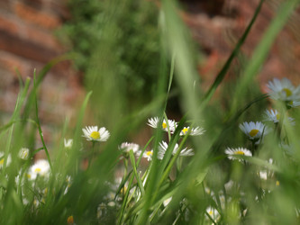 Similar image 1414931