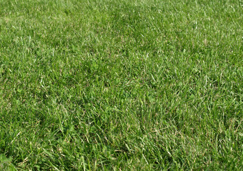 Similar image 1414983