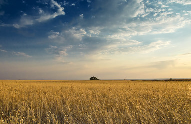 Similar image 1415138