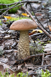 Similar image 1415194