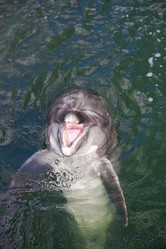 Similar image 1415209