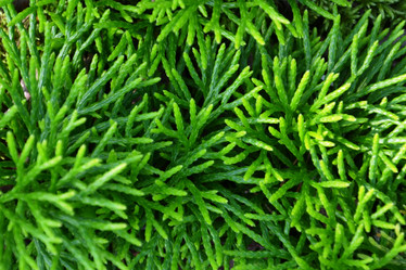 Similar image 1415213