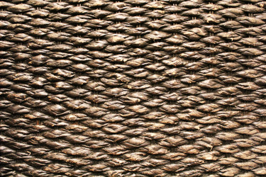 Similar image 1415265