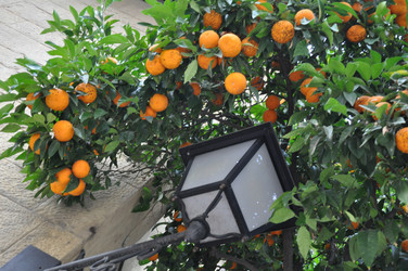 Similar image 1415267