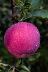 Similar image 1415272