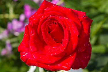 Similar image 1415273