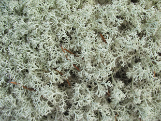 Similar image 1415287