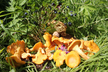 Similar image 1415306