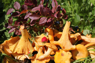 Similar image 1415309