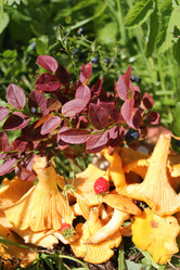 Similar image 1415310