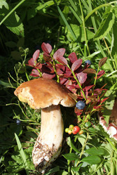 Similar image 1415312