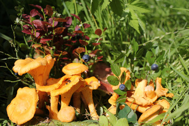 Similar image 1415314