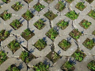 Similar image 1415316