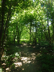 Similar image 1415323