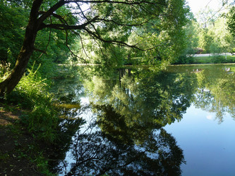 Similar image 1415324