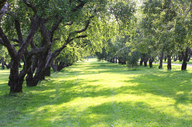 Similar image 1415326