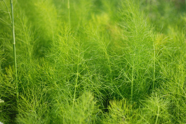 Similar image 1415327