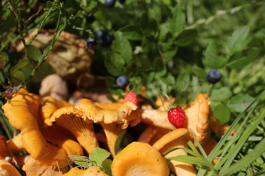 Similar image 1415329