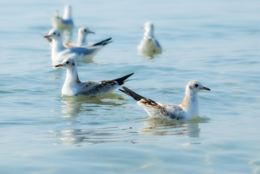 Similar image 1415401