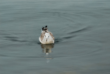 Similar image 1415402