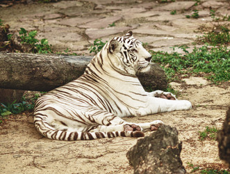 Similar image 1415425